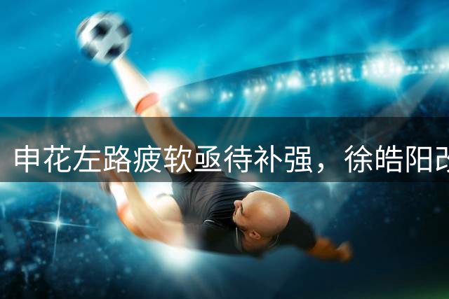 申花左路疲软亟待补强，徐皓阳改造方案或成破局关键